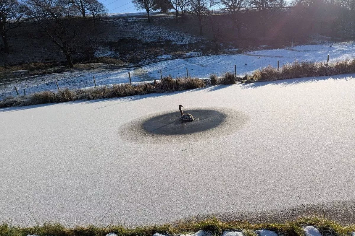 An aerial view of a frozen lake, displaying a circular pattern on the ice surface, surrounded by a snowy landscape with sparse vegetation and distant trees