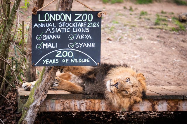 ZSL London Zoo annual stocktake