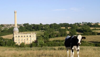 Cotswolds film to mark Area of Outstanding Natural Beauty