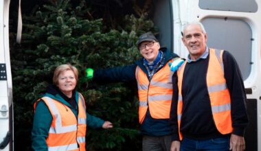 How do I recycle my Christmas tree in North Somerset?