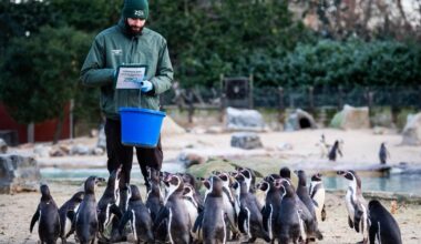 London Zoo celebrates bicentenary with annual stocktake