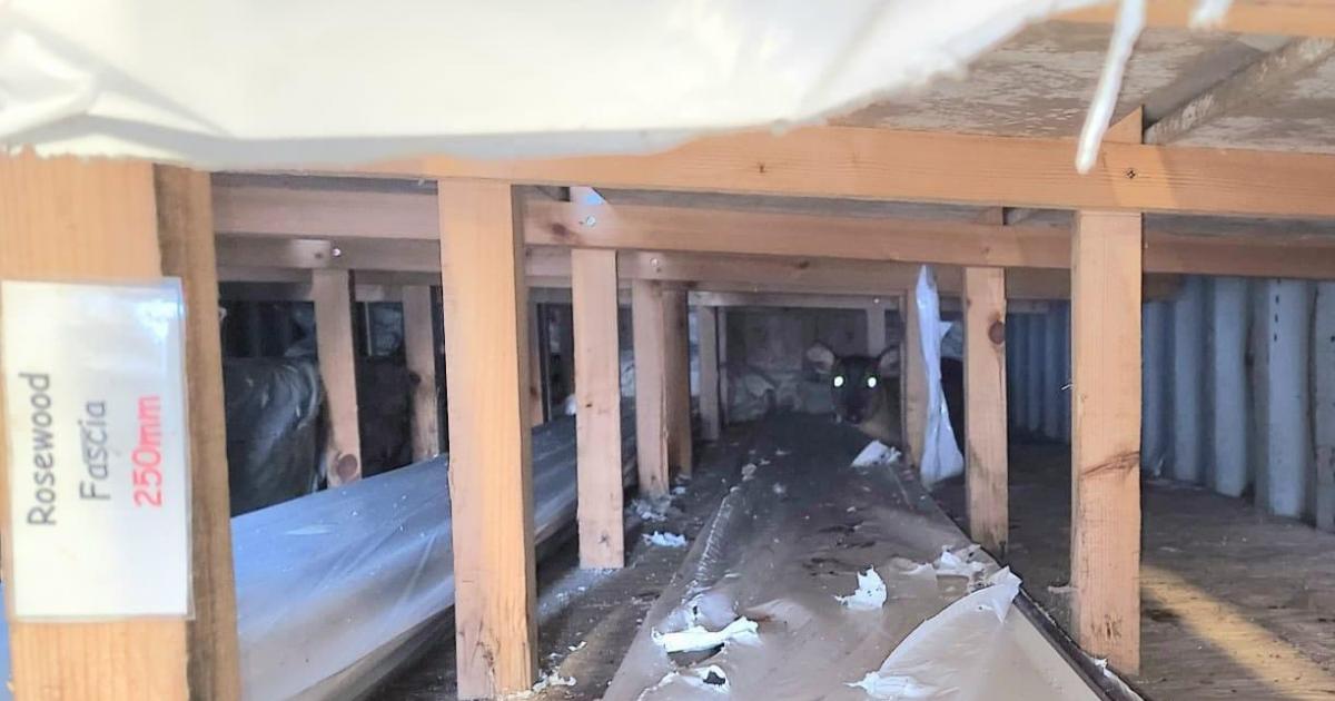 Injured deer assisted during Suffolk and Norfolk call outs