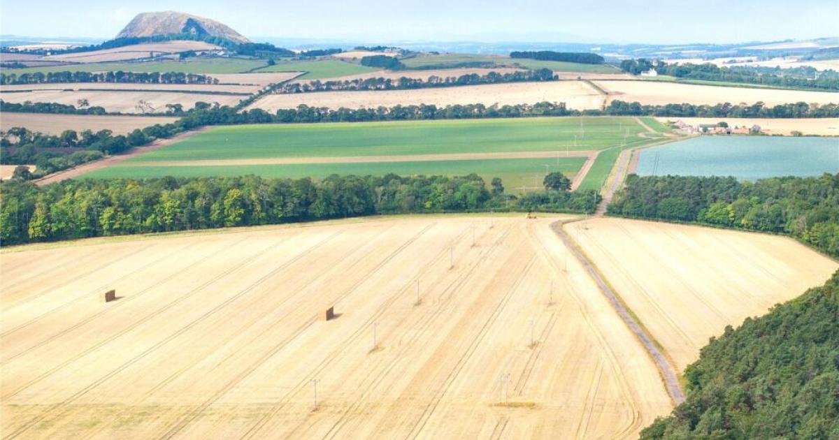 Farmland and woodland for sale for more than £2.7 million