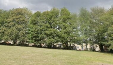 Four arrested after police conduct search of Pudsey woodland
