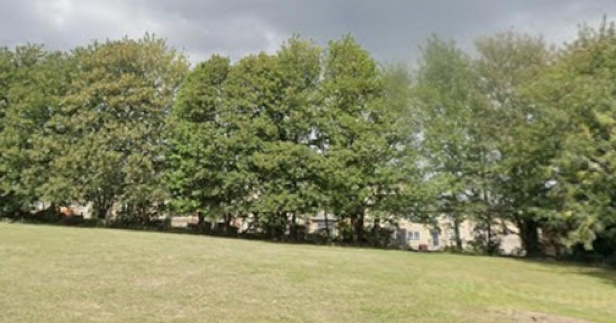 Four arrested after police conduct search of Pudsey woodland