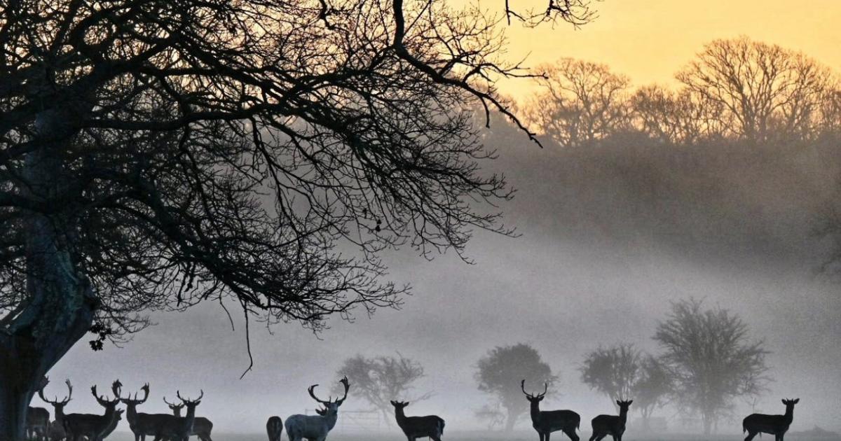 Camera club: Some of our best photos from the year 2025