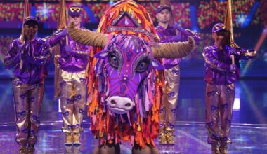 Who was unmasked on The Masked Singer tonight? Yak revealed