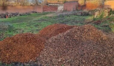 Newhailes estate offering wood chips after tree work