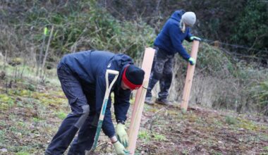 Heart of England Forest looking for forest operations technical lead