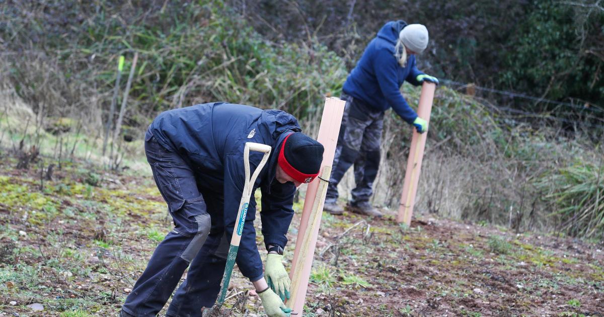Heart of England Forest looking for forest operations technical lead