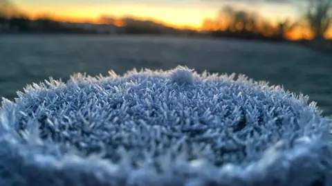 BBC Weather Watcher Becka A close up of white frost on the grass at Ballynoe in County Down. There are trees in the distance as the sun shines.