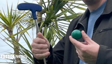 A large green lawn in Ipswich's Christchurch Park which is surrounded by hedges and woodland.