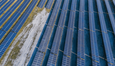 426 MW Rey Solar Project in Southern Spain Begins Grid Injection, Advances Toward Full Commercial Operations