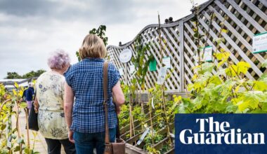 Public urged to grow unusual plants to safeguard diversity of UK blooms | Plants
