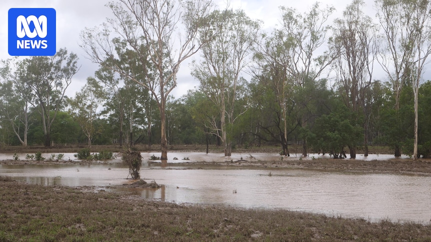 Residents near Mackenzie River on high alert as flood warning continues