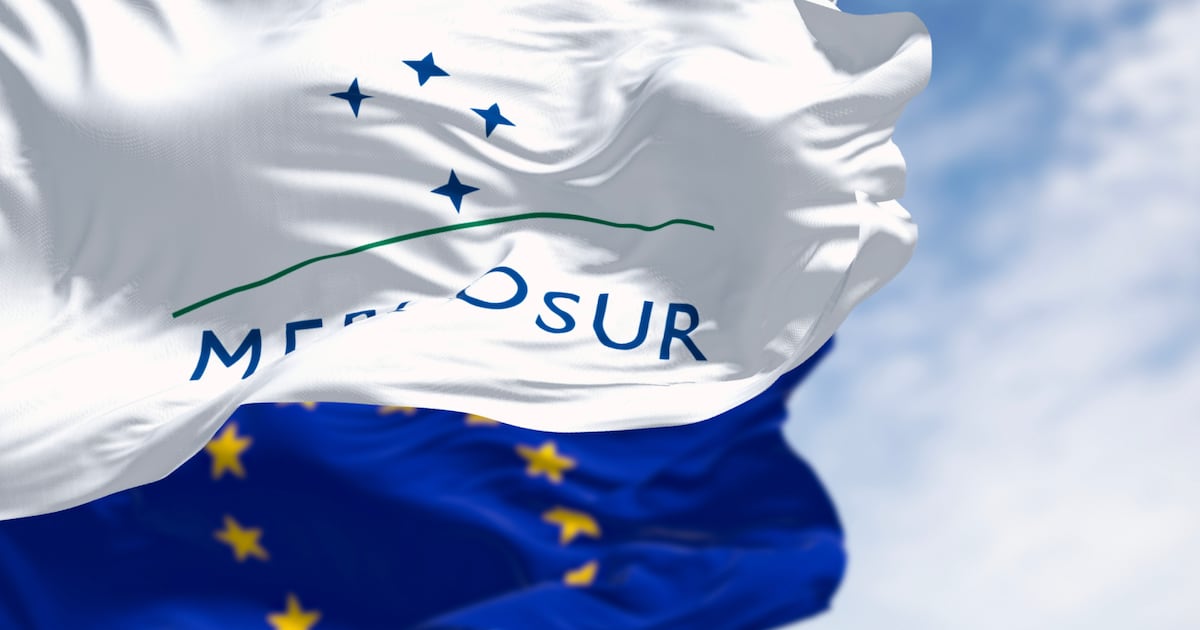 French and Irish farmers fear being undercut as EU ratifies Mercosur deal