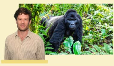 My pilgrimage to Uganda to see mountain gorillas