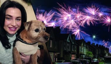 the pet owners’ fight to ban fireworks