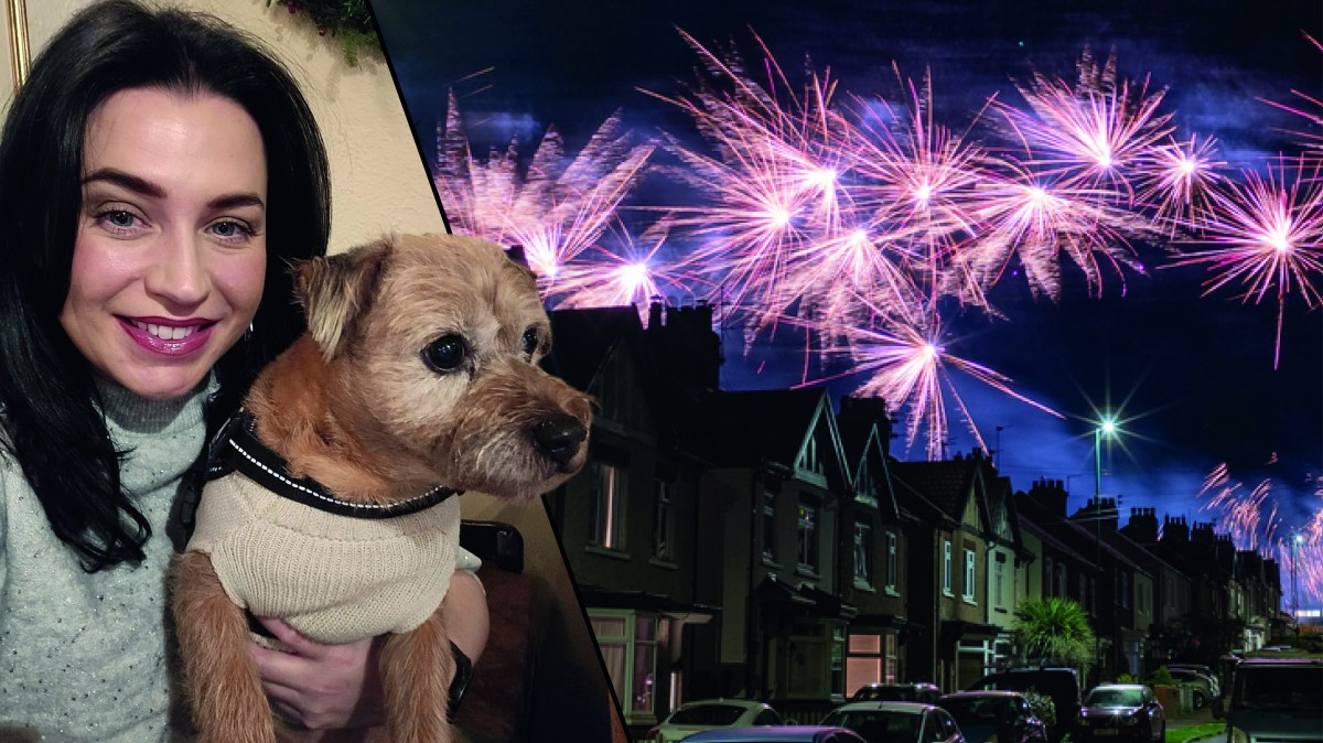the pet owners’ fight to ban fireworks