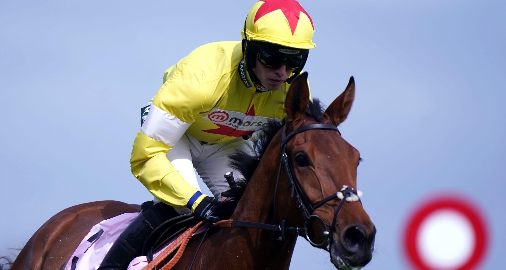 Three horses fatally injured during single day of racing at Kempton Park