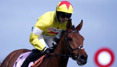 Three horses fatally injured during single day of racing at Kempton Park