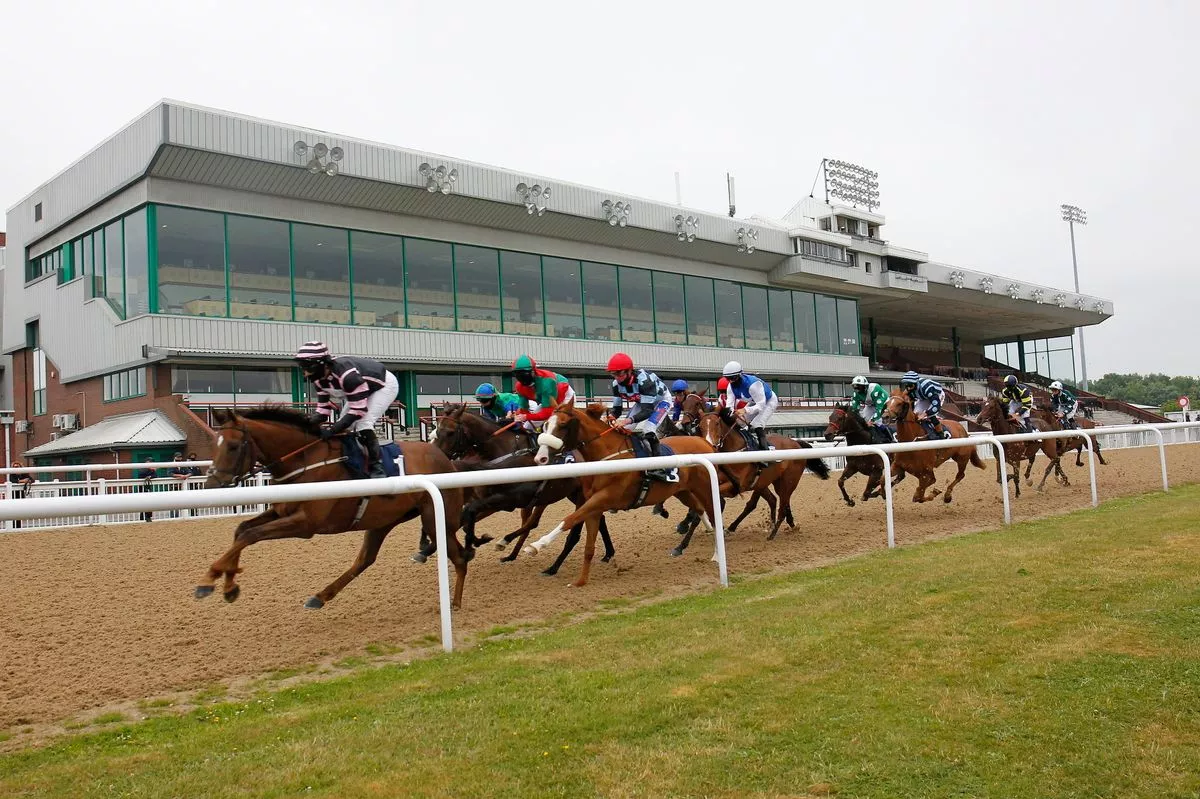 Wolverhampton hosts a seven-race meeting on Monday when Newsboy’s nap, Zoulu Warrior, is fancied to win the 7.00