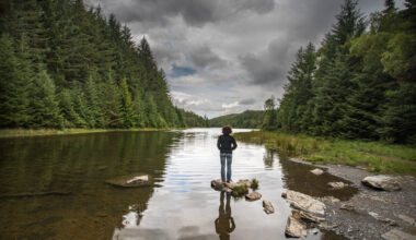 Wales at “critical tipping point” as new report warns nature crisis is already here