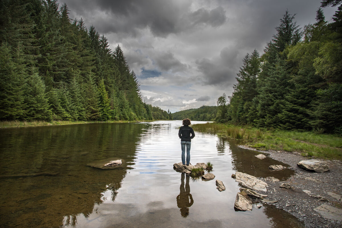 Wales at “critical tipping point” as new report warns nature crisis is already here