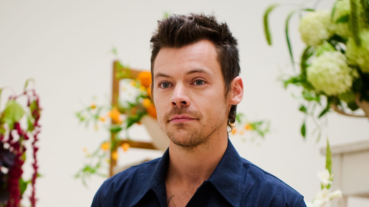 Harry Styles' staggering net worth - including four properties on a single London street