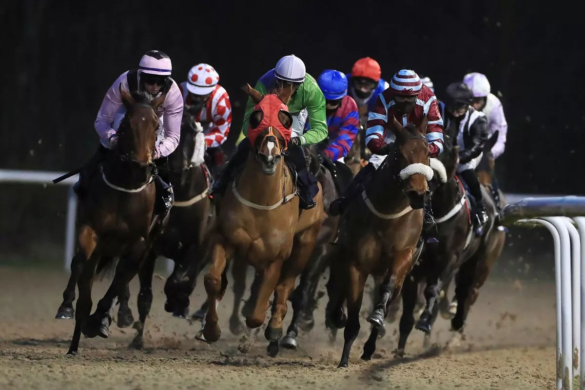 Wolverhampton hosts a seven-race all-weather card on Monday where Newsboy's Nap, Flowstate, runs in the 6.30
