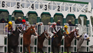 Is the development of AI really a "race"?