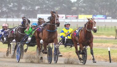 Horse racing: Wonderful trotter’s rivals have a mountain to climb at Addington