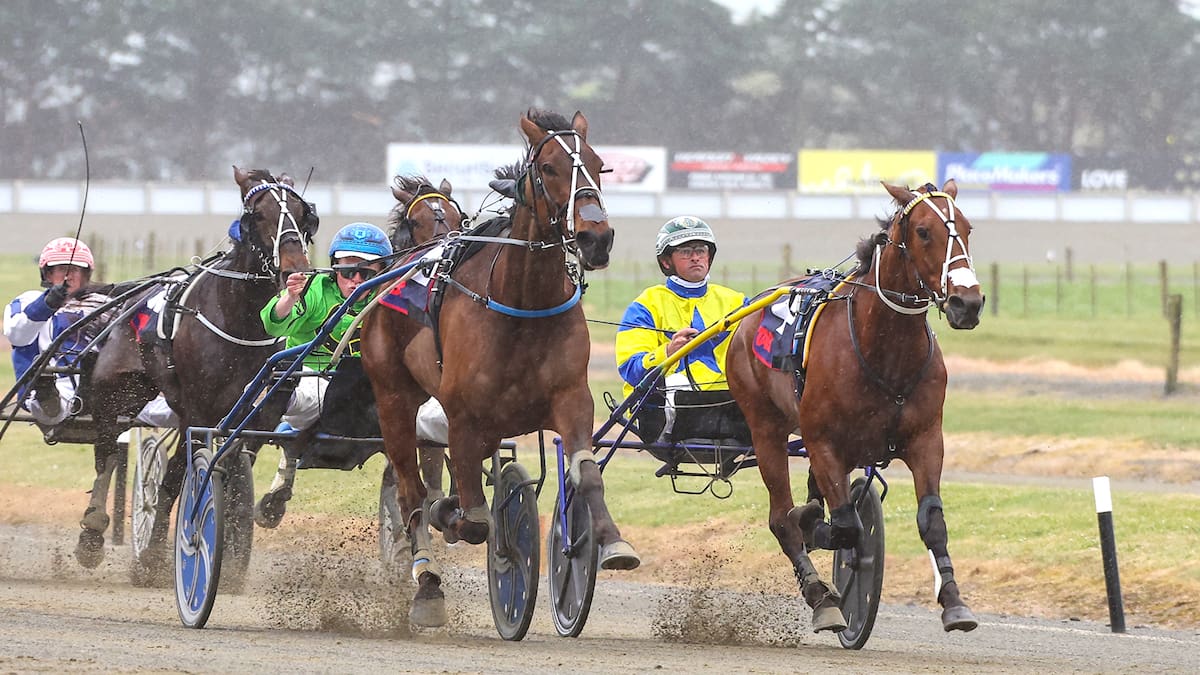 Horse racing: Wonderful trotter’s rivals have a mountain to climb at Addington