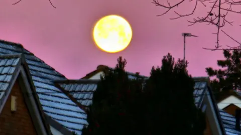 JohnFrosty/Weather Watchers A large moon shines yellow as it sits in a red sky above frosty roofs in Sutton Coldfield. Trees can be seen in the foreground