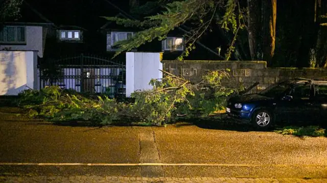 A car parked with a fallen tree in front of it