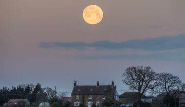 Wolf supermoon appears in clear UK skies - London Evening Standard