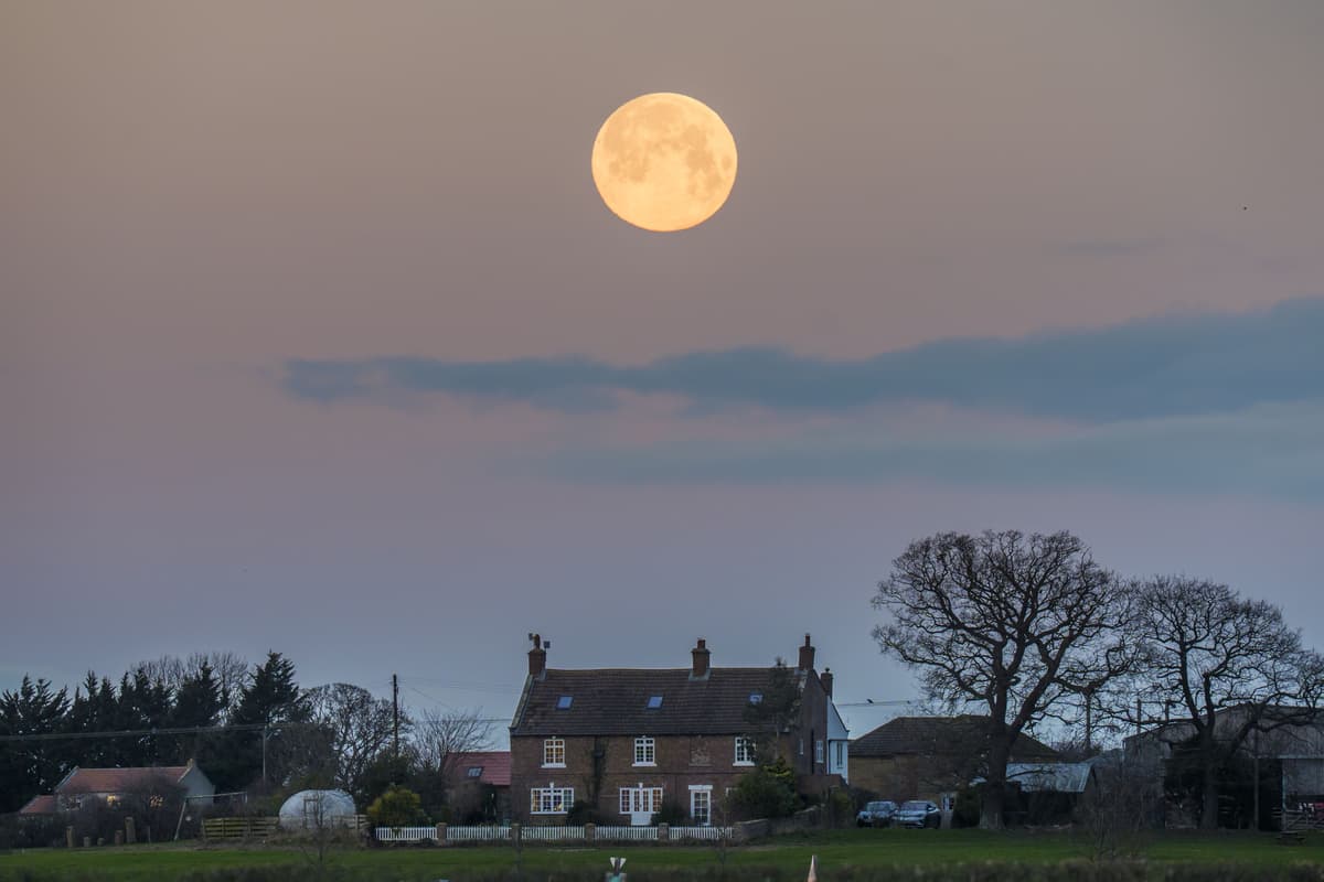 Wolf supermoon appears in clear UK skies - London Evening Standard