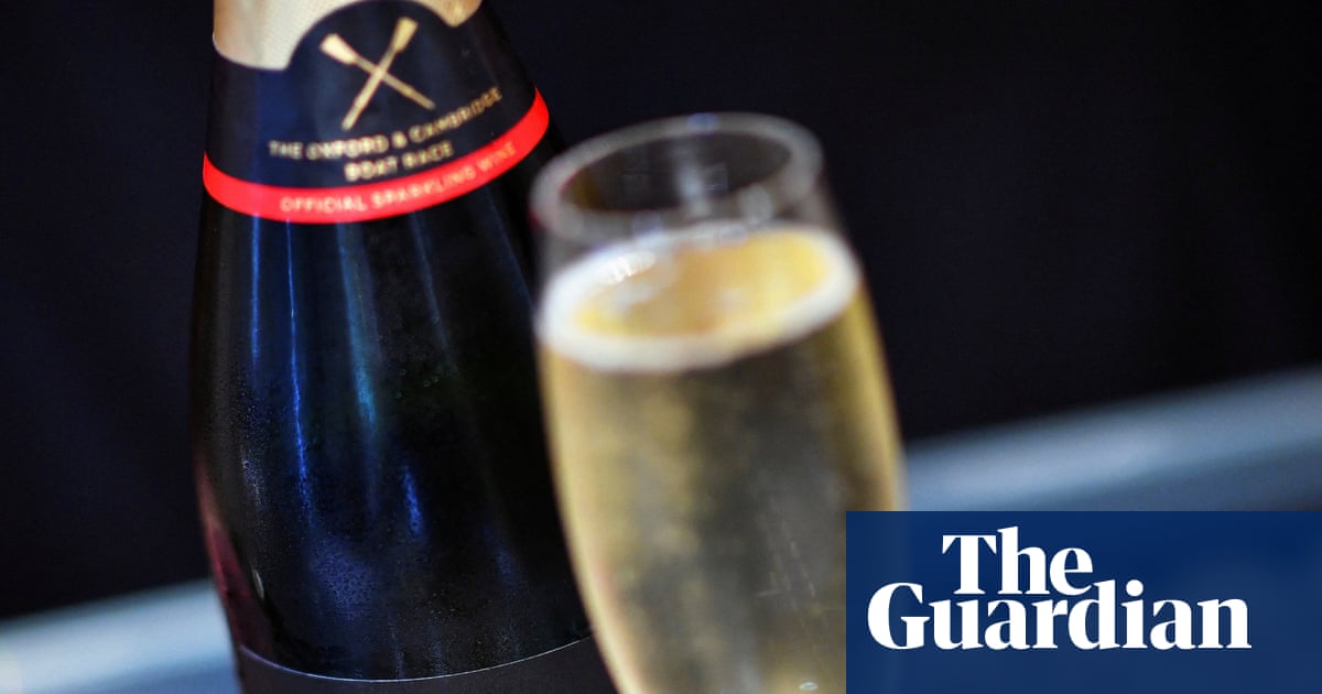 ‘Generational shift’ towards sparkling wine behind strong sales, says UK’s Chapel Down | Food & drink industry