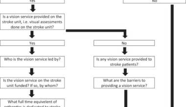 Orthoptic stroke services in the UK and Ireland: how have they evolved?