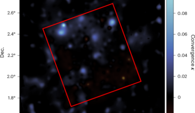 An ultra-high-resolution map of (dark) matter