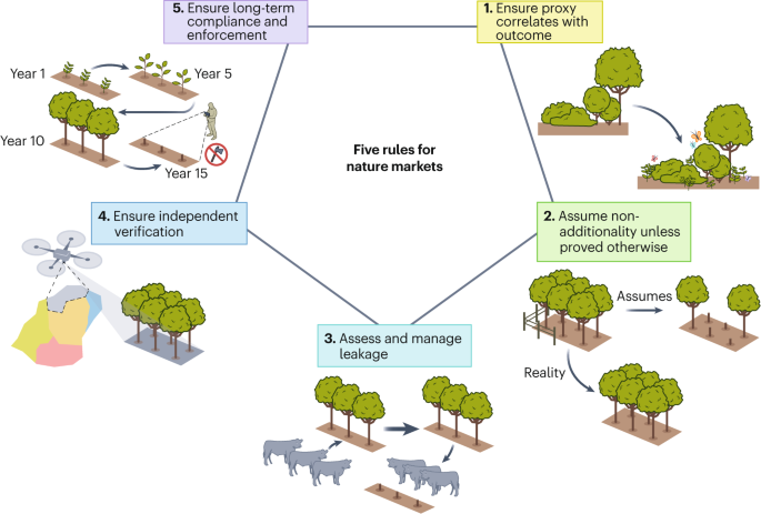 Five rules for scientifically credible nature markets