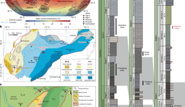 A Cambrian soft-bodied biota after the first Phanerozoic mass extinction