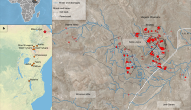 Afar fossil shows broad distribution and versatility of Paranthropus