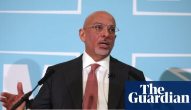 Nadhim Zahawi failed in bid for peerage from Tories before Reform defection, sources say | Nadhim Zahawi
