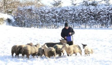 Northern Ireland weather: Schools announce closures for Wednesday amidst fresh weather warning