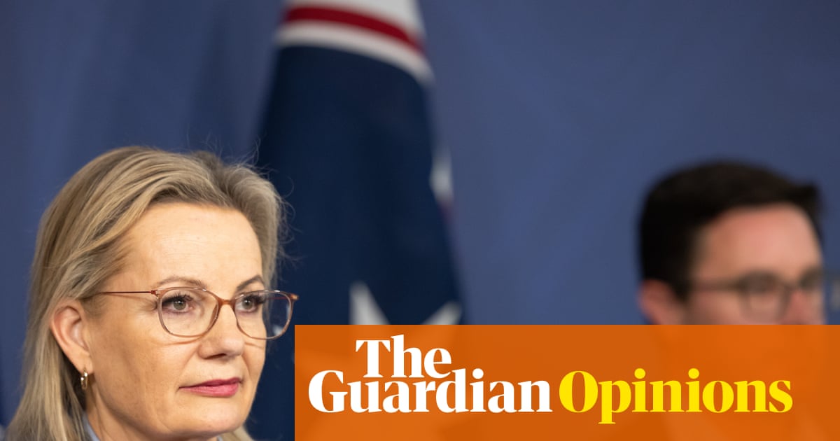 The Liberals’ fatal flaw was becoming Nationals-lite. Here’s how they can come back from the brink | Tony Barry