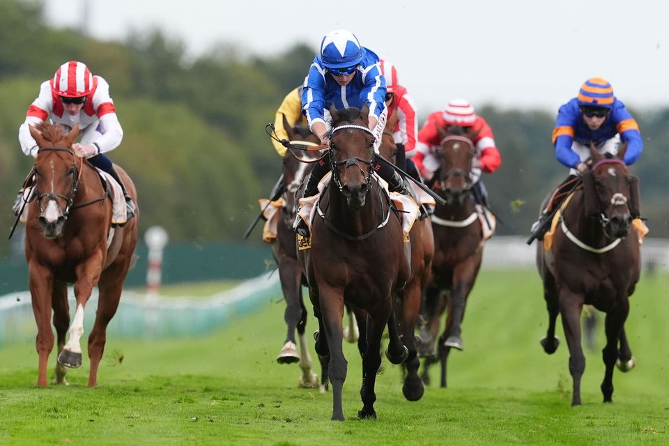 The Reverend, winning on the Flat at Haydock under Tom Marquand (centre) in September, has made a smooth transition to hurdling since switching to Willie Mullins' yard. Photo: Getty Images