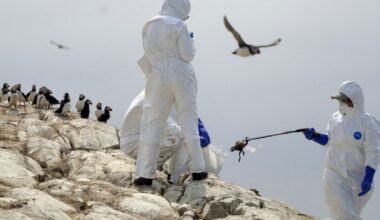 Bird flu outbreak confirmed in the UK as 1.8-mile protection zone declared | UK | News