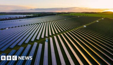 Campaigners to challenge Selby solar farm plans in High Court