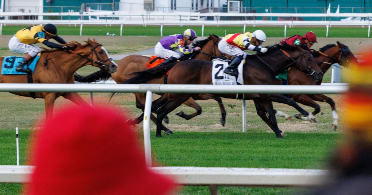 Golden Tempo finishes strong to edge Mesquite in Lecomte | Horse Racing